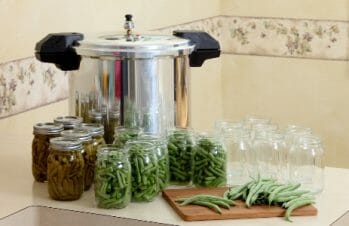 Electric Pressure Canner Review~ 